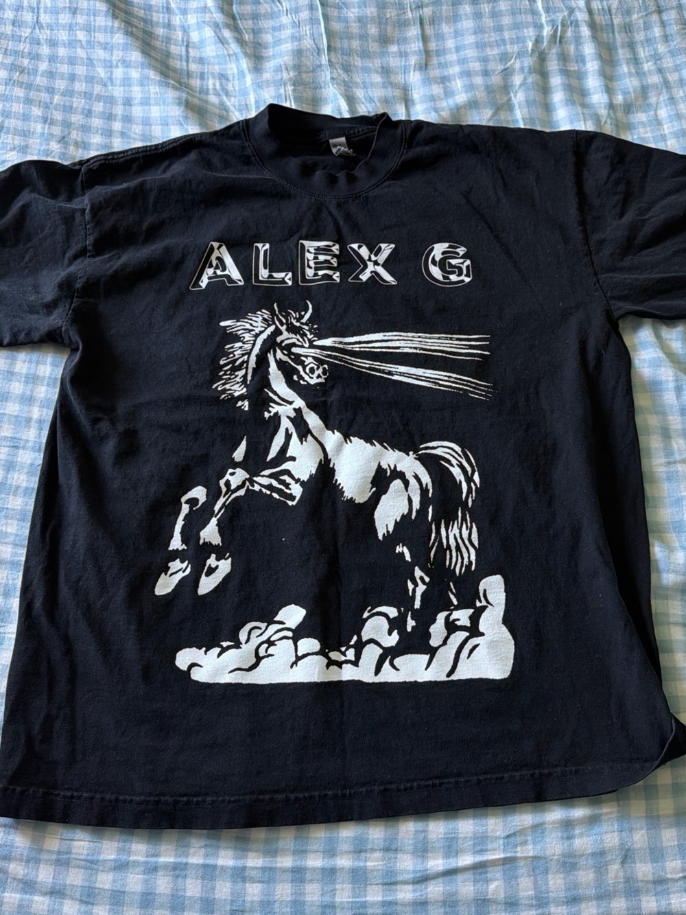 Alex G Black Graphic Band Tee - White Horse Print